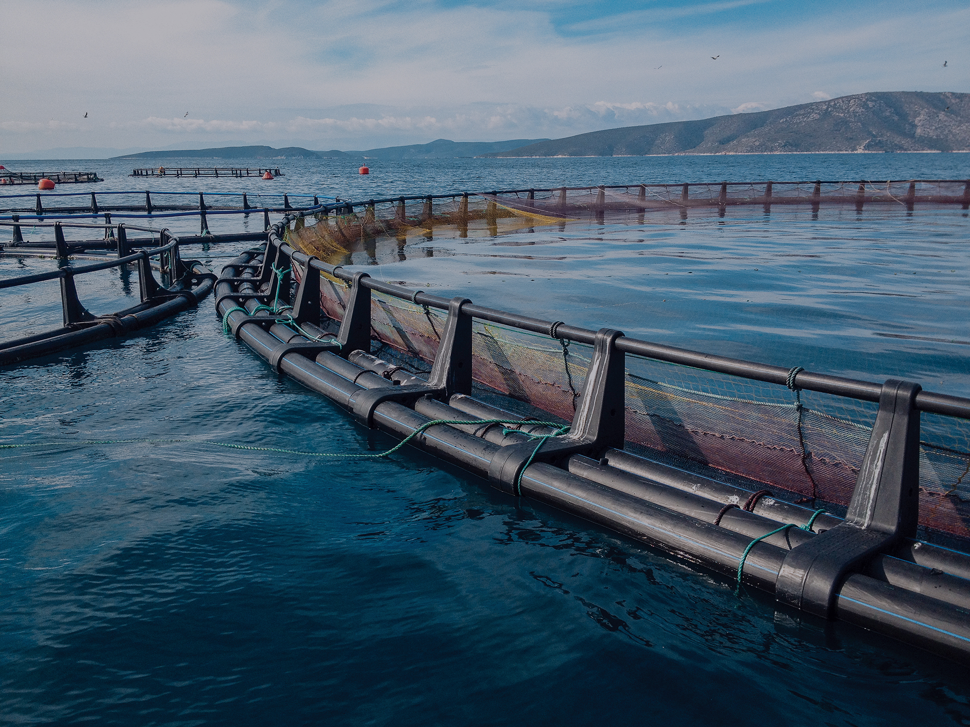 Smarter Aquaculture banner
