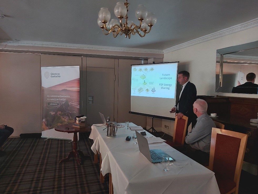 Sean Lyons presenting to smart grid stakeholders of the Sustainability Dingle project on 31st May. 